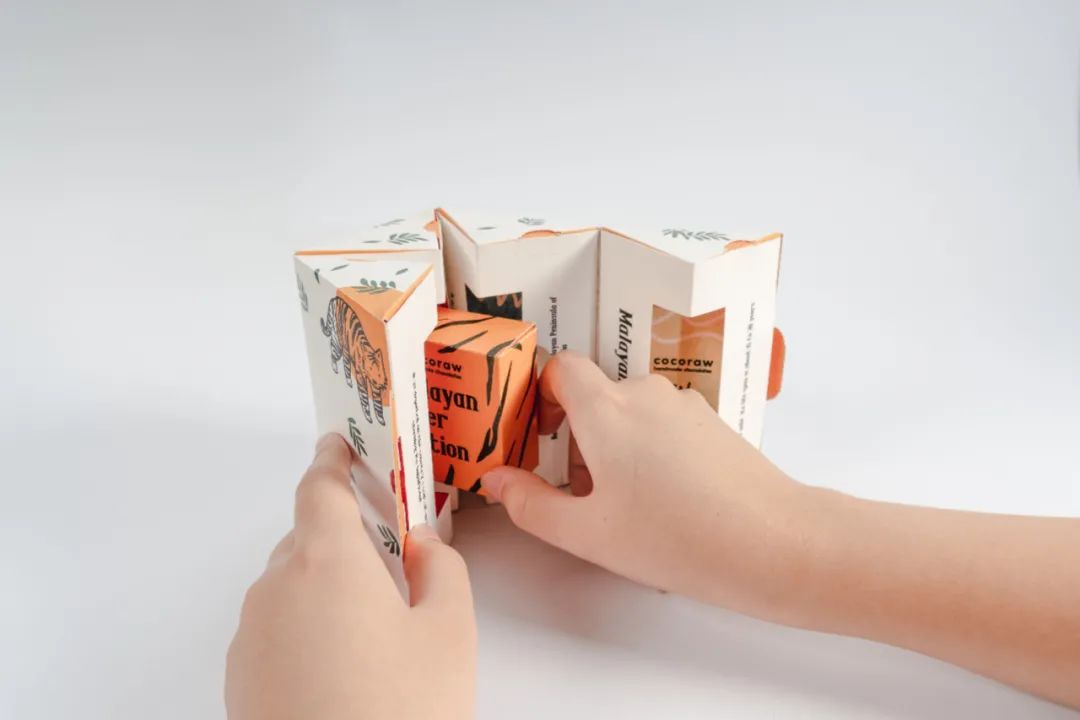 马来西亚Cocoraw巧克力包装设计创意